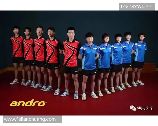 赛后分析：西安乒乓球队与成都乒乓球队的默契配合与战术探讨
