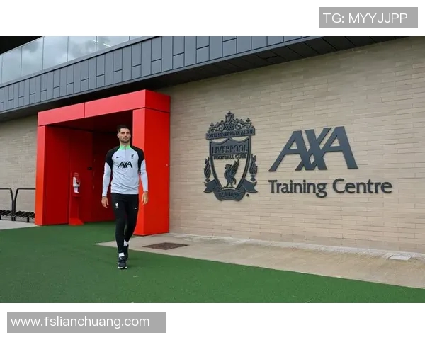 探秘索博斯洛伊的历史与文化遗产,感受其独特魅力与现代发展之路 探秘索博斯洛伊的历史与文化遗产,感受其独特魅力与现代发展之路