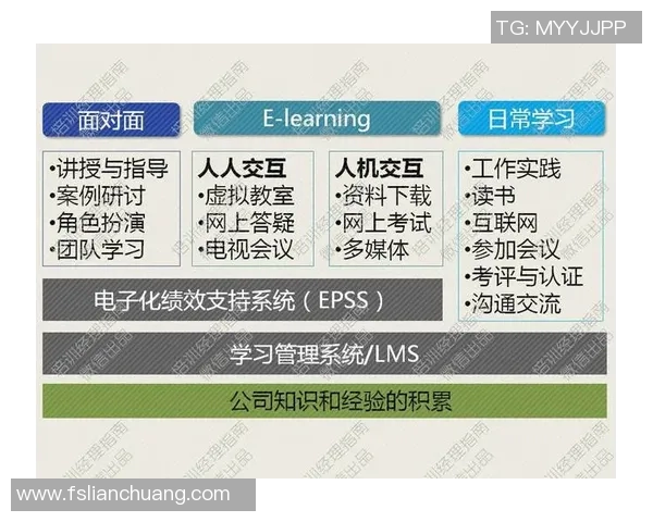 深圳羽毛球队整体压制革新之路探秘与未来展望